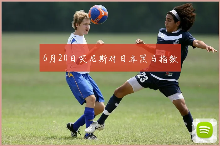 6月20日突尼斯对日本黑马指数