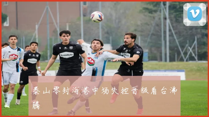 泰山零封海港中场失控晋级看台沸腾