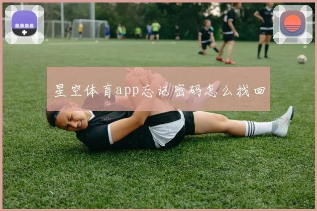 星空体育app忘记密码怎么找回