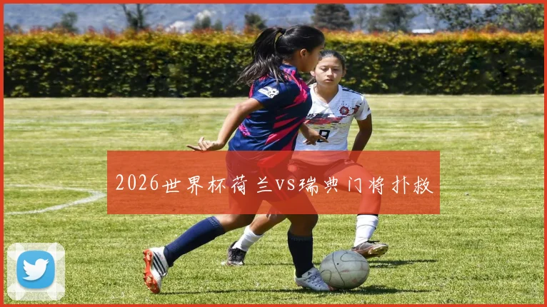 2026世界杯荷兰vs瑞典门将扑救