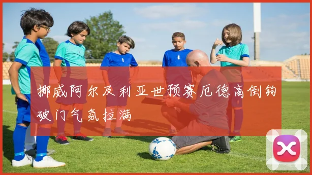 挪威阿尔及利亚世预赛厄德高倒钩破门气氛拉满