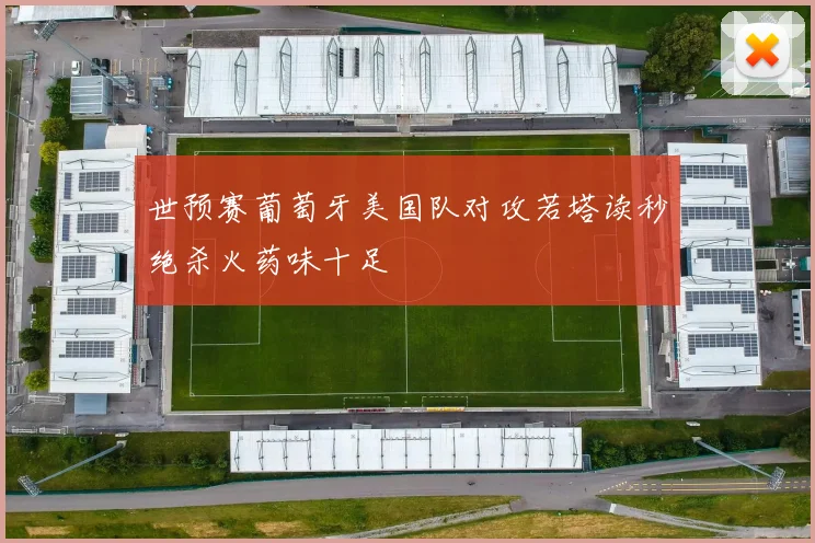 世预赛葡萄牙美国队对攻若塔读秒绝杀火药味十足