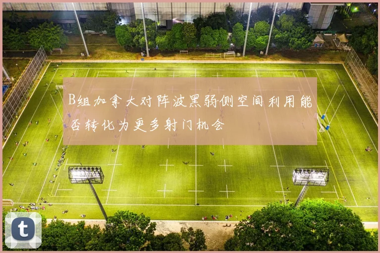 B组加拿大对阵波黑弱侧空间利用能否转化为更多射门机会