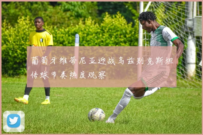 葡萄牙维蒂尼亚迎战乌兹别克斯坦传球节奏热度观察