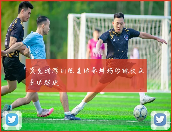 莫克姆湾训练基地养蚌场珍珠收获季送球迷